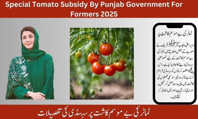 Special Tomato Subsidy By Punjab Government For Formers 2025
