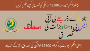 How To Complete BISP 13500 Payment Verification