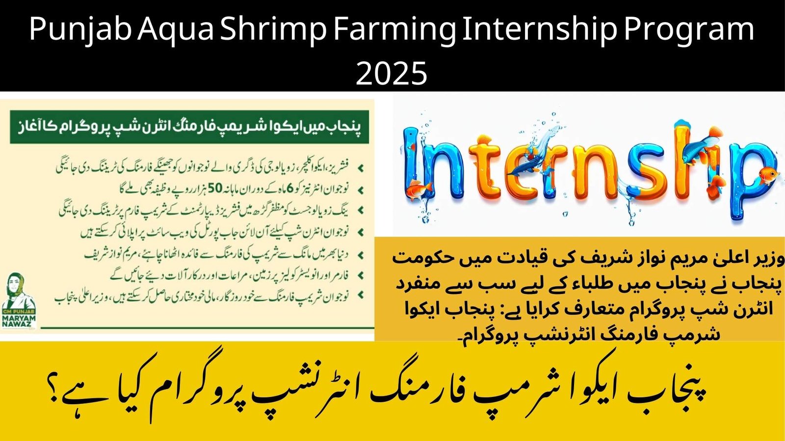 Punjab Aqua Shrimp Farming Internship Program 2025