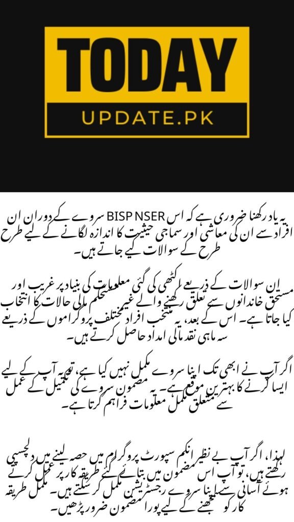 What is BISP NSER Survey.