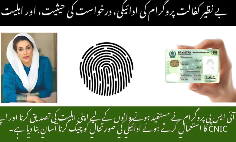 BISP 10500 Tracking CNIC Verification Online Through 8171
