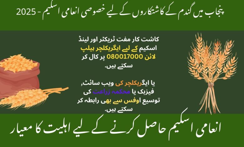 Special Reward Scheme For Wheat Farmers in Punjab 2025
