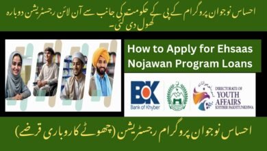 Ehsaas Nojawan Program Registration (Small Business Loans)