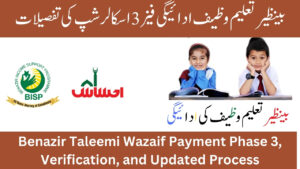 Benazir Taleemi Wazaif Payment Phase 3, Verification Process 2025