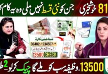 BISP-8171-Balance-Check-Online-CNIC-2025-–-Complete-Step by Step Guide-