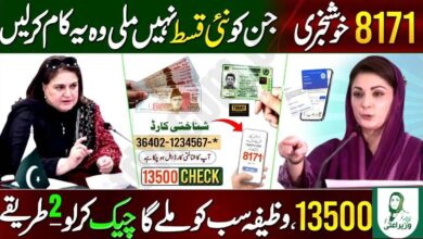 BISP-8171-Balance-Check-Online-CNIC-2025-–-Complete-Step by Step Guide-